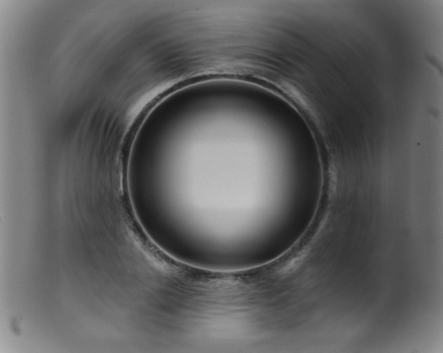 X0000099540838200805161426