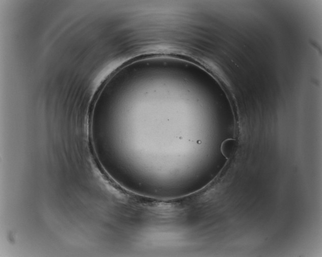 X0000099540839200805161426