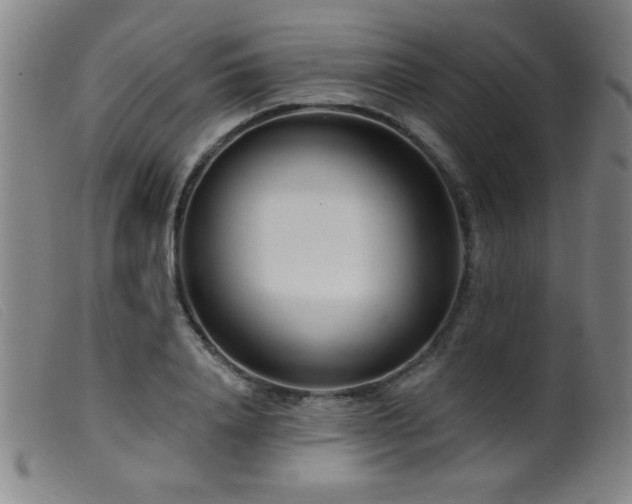 X0000099540840200805161426