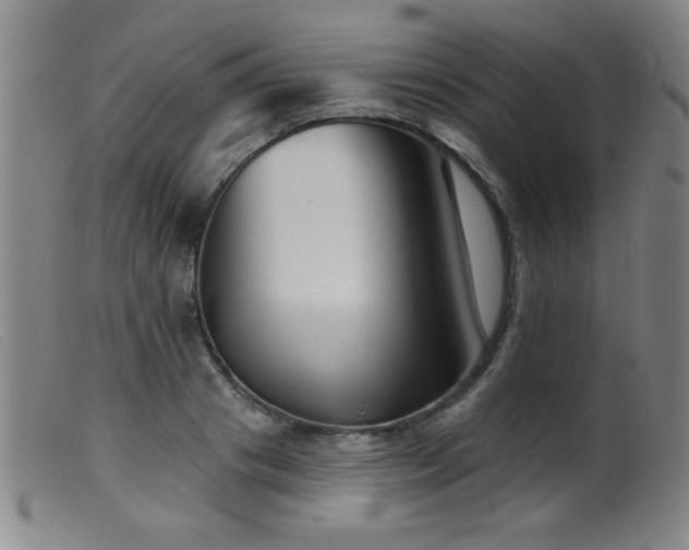 X0000099540841200805161426
