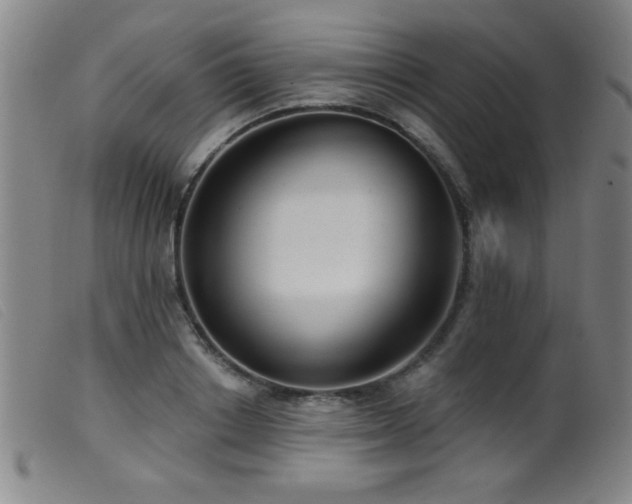 X0000099540842200805161426