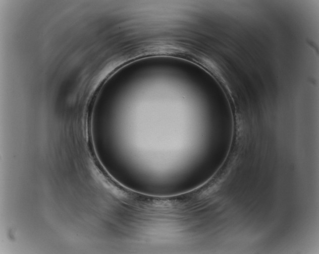 X0000099540843200805161426