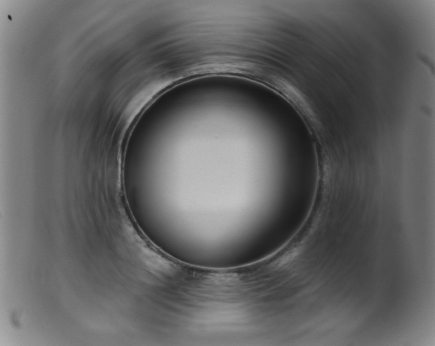 X0000099540844200805161426
