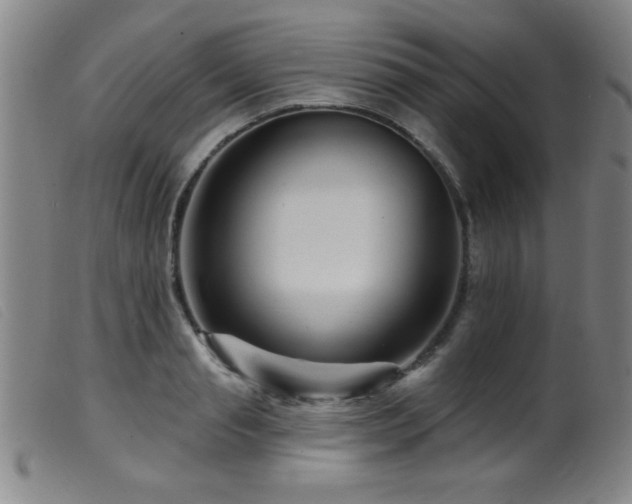 X0000099540845200805161426