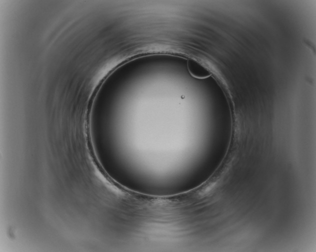 X0000099540847200805161426