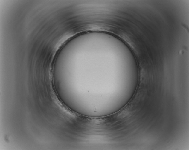 X0000099540848200805161426