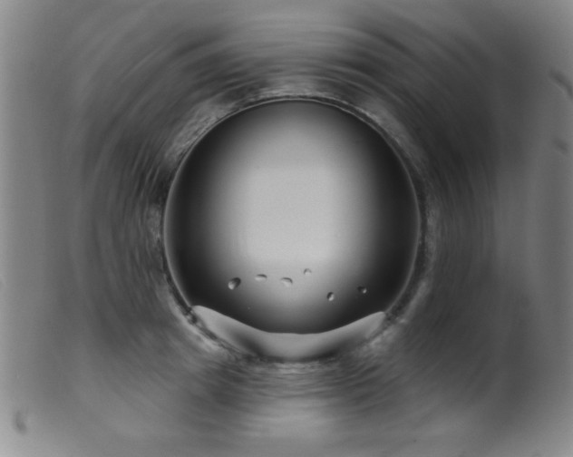 X0000099540849200805161426