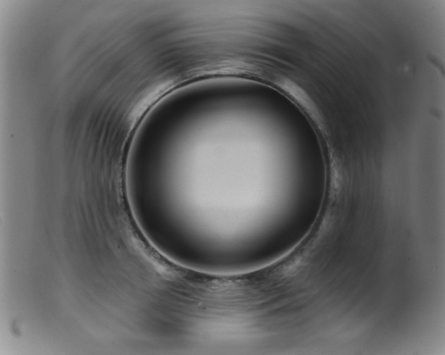 X0000099540850200805161426