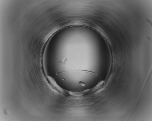 X0000099540853200805161426