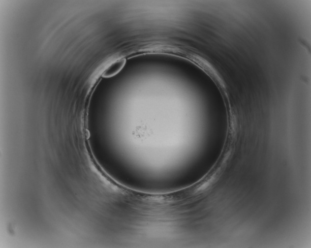 X0000099540855200805161426