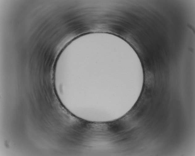X0000099540856200805161426