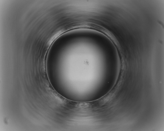X0000099540858200805161426