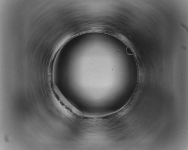 X0000099540859200805161426