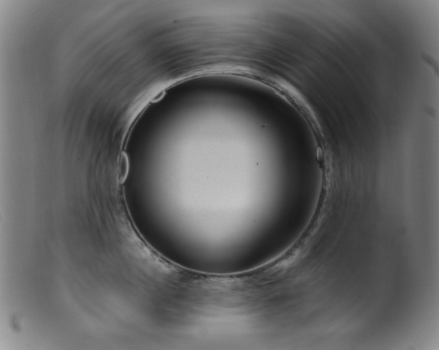 X0000099540860200805161426