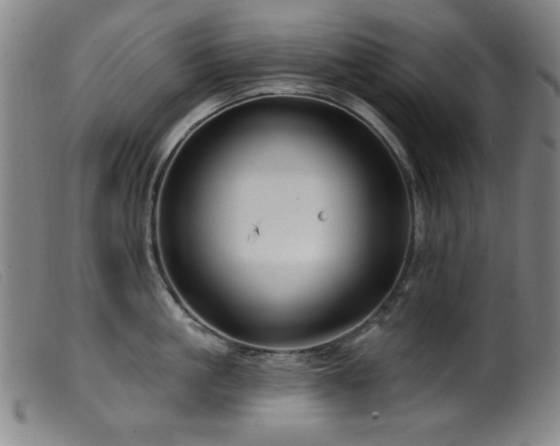 X0000099540861200805161426