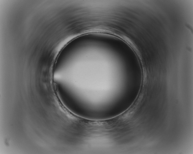 X0000099540862200805161426