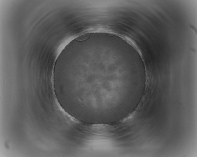 X0000099540863200805161426