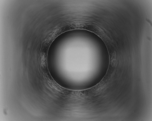 X0000099540866200805161425