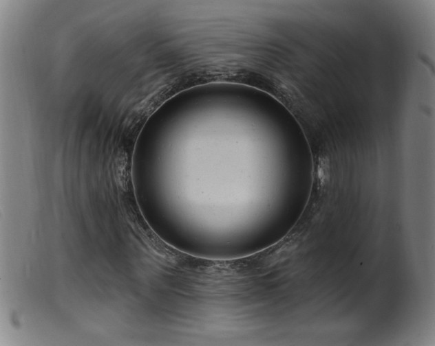X0000099540867200805161425