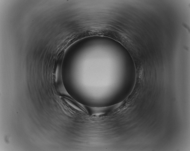 X0000099540868200805161425