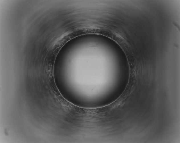 X0000099540870200805161425