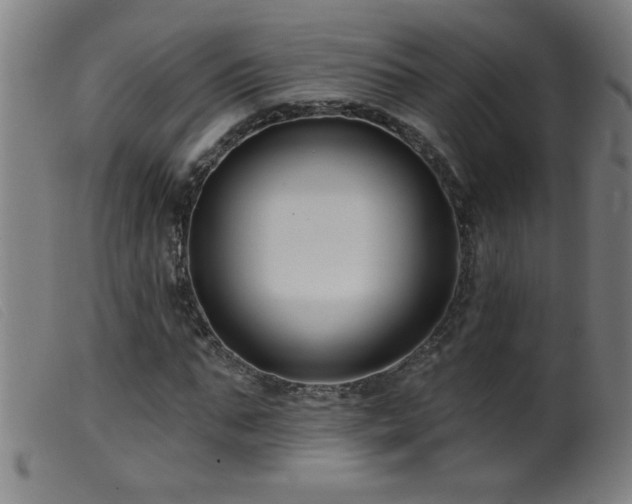 X0000099540871200805161425