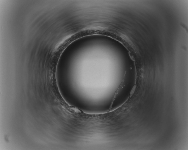 X0000099540872200805161425