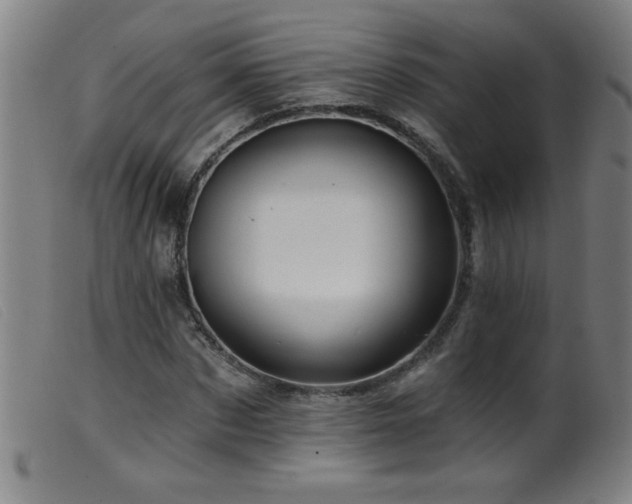 X0000099540873200805161425