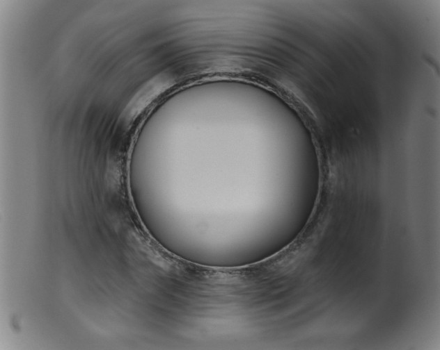 X0000099540874200805161425