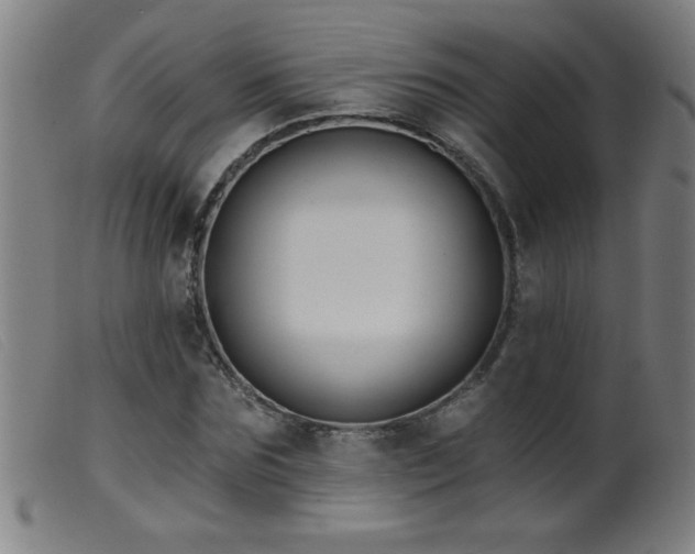 X0000099540875200805161425