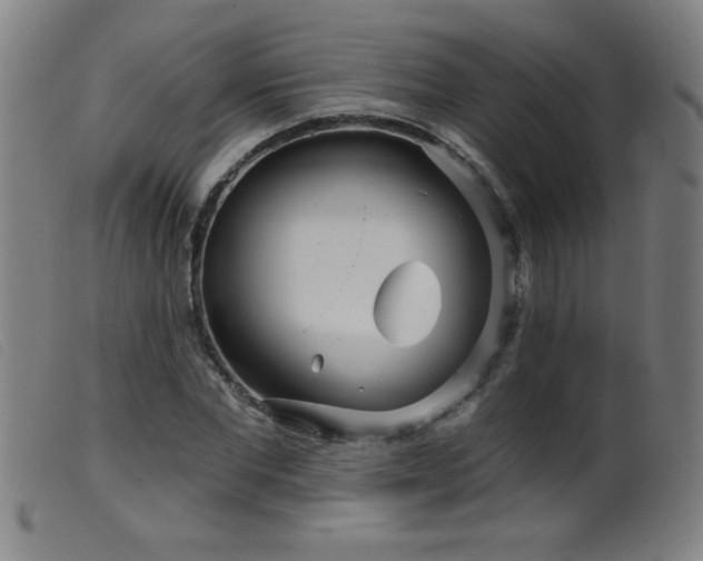 X0000099540877200805161425