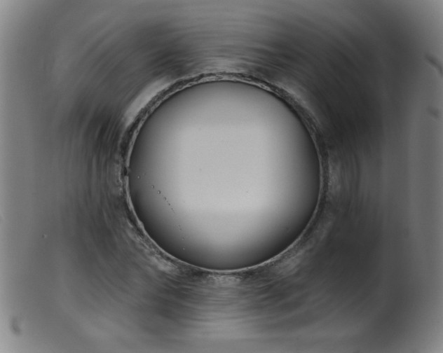 X0000099540878200805161425