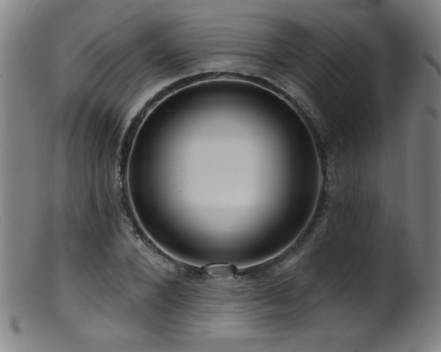 X0000099540880200805161425