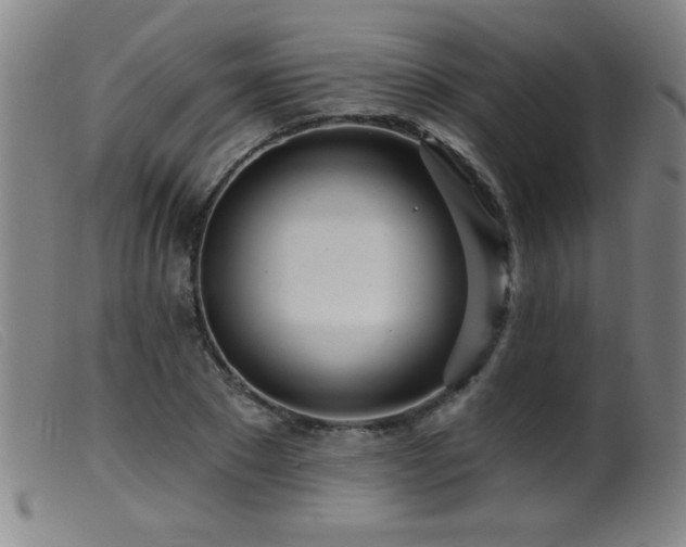 X0000099540881200805161425