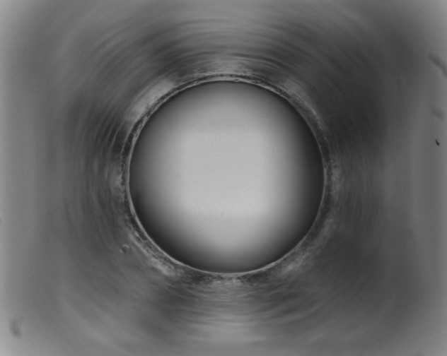 X0000099540882200805161425