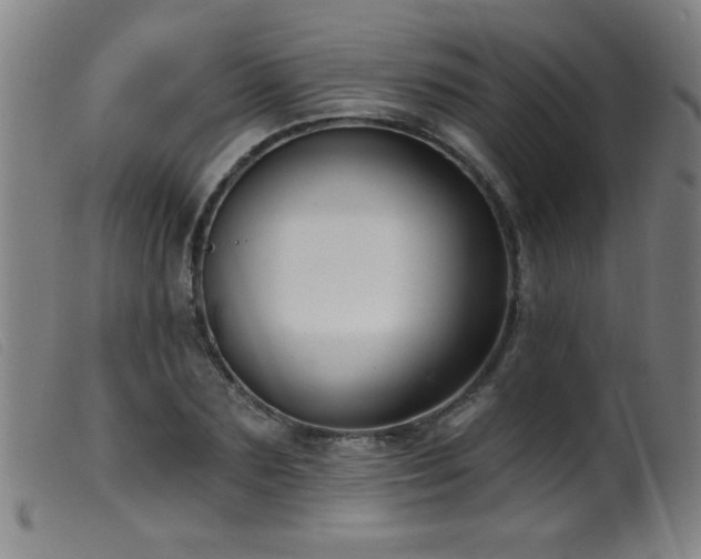 X0000099540883200805161425