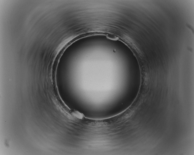X0000099540884200805161425