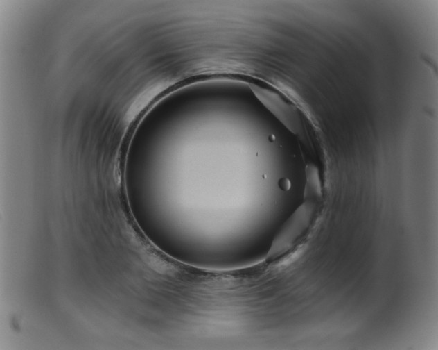 X0000099540885200805161425