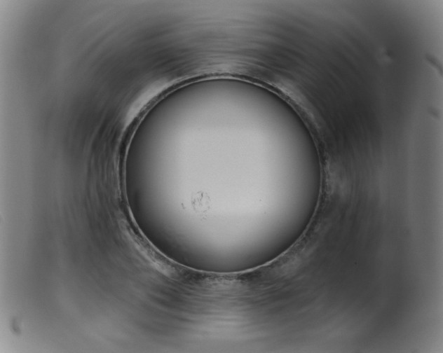X0000099540886200805161425