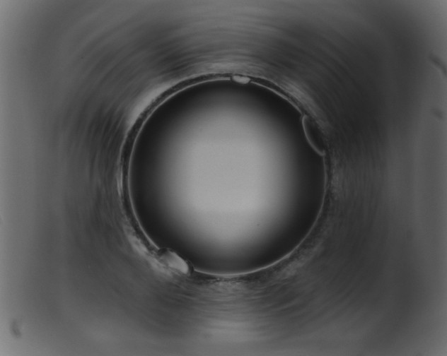 X0000099540888200805161425