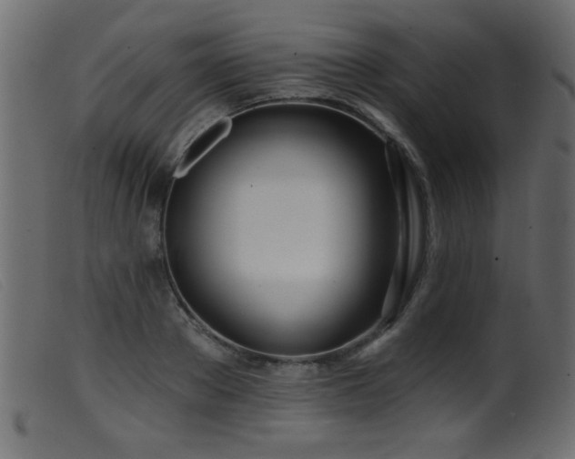 X0000099540889200805161425