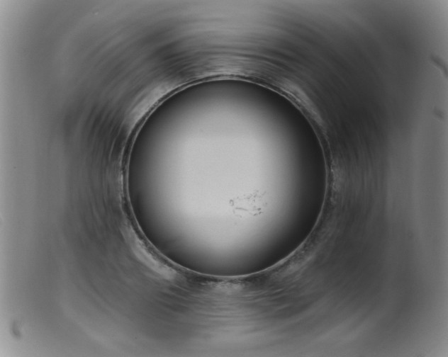 X0000099540890200805161425