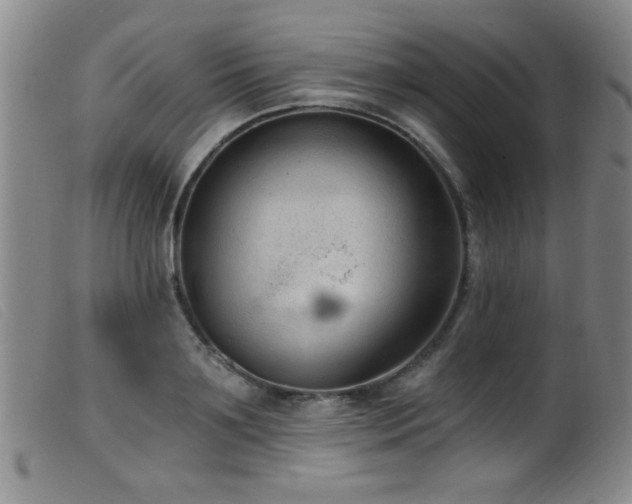 X0000099540891200805161425