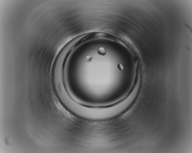 X0000099540892200805161425