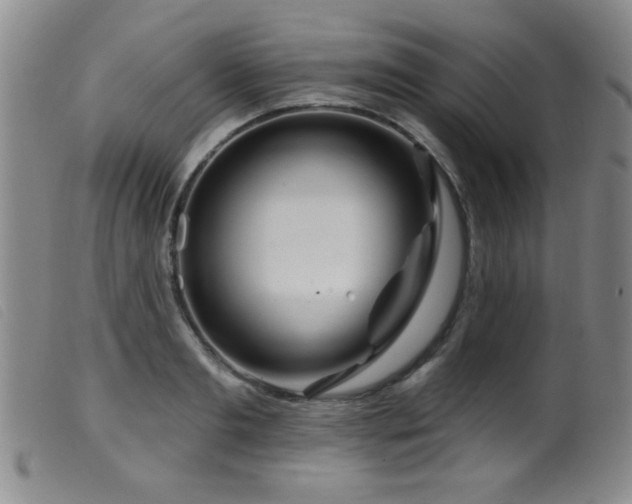 X0000099540893200805161425