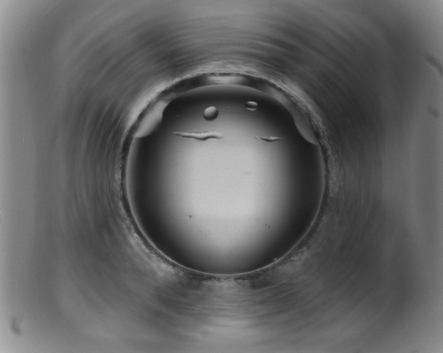 X0000099540896200805161425