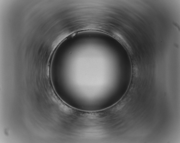 X0000099540900200805161425