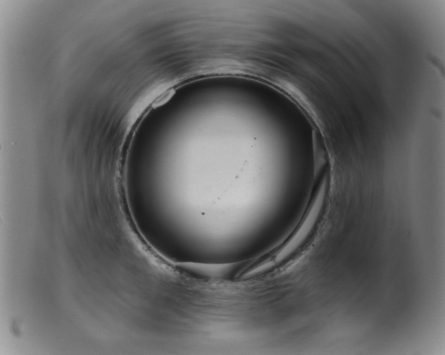 X0000099540901200805161425