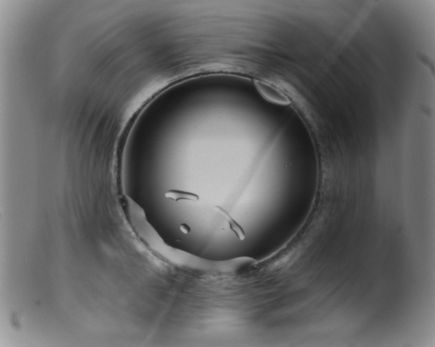X0000099540902200805161425