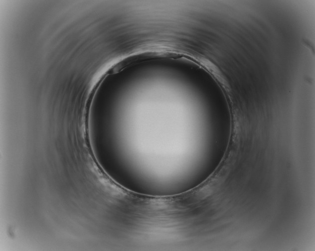 X0000099540904200805161425